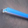 Гибкий неон MAYTONI 200521 1708 24В 9,6Вт/м Blue IP67 5м