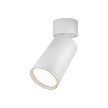 Потолочный светильник MAYTONI FOCUS S C050CL-U-1W
